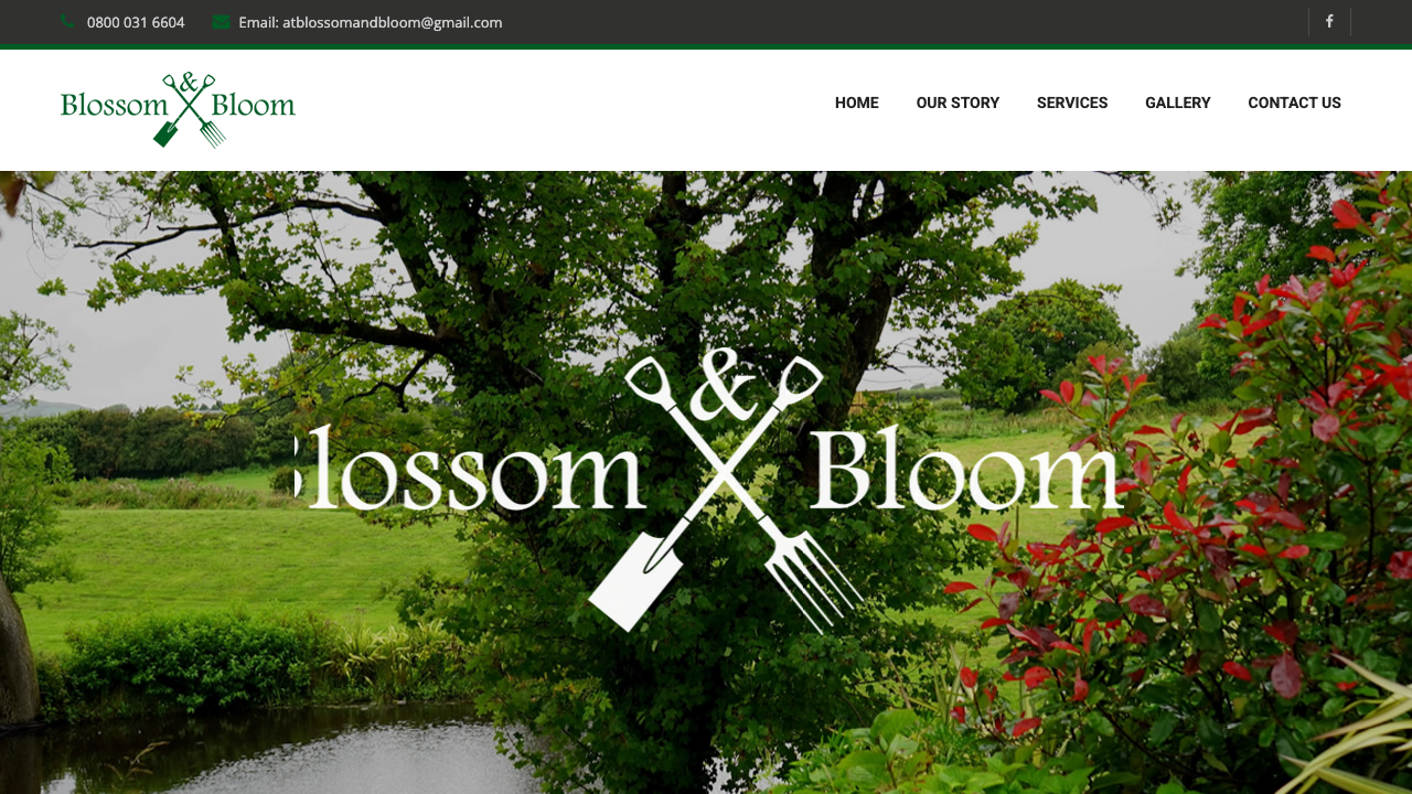 BLOSSOM & BLOOM SERVICES LTD website preview
