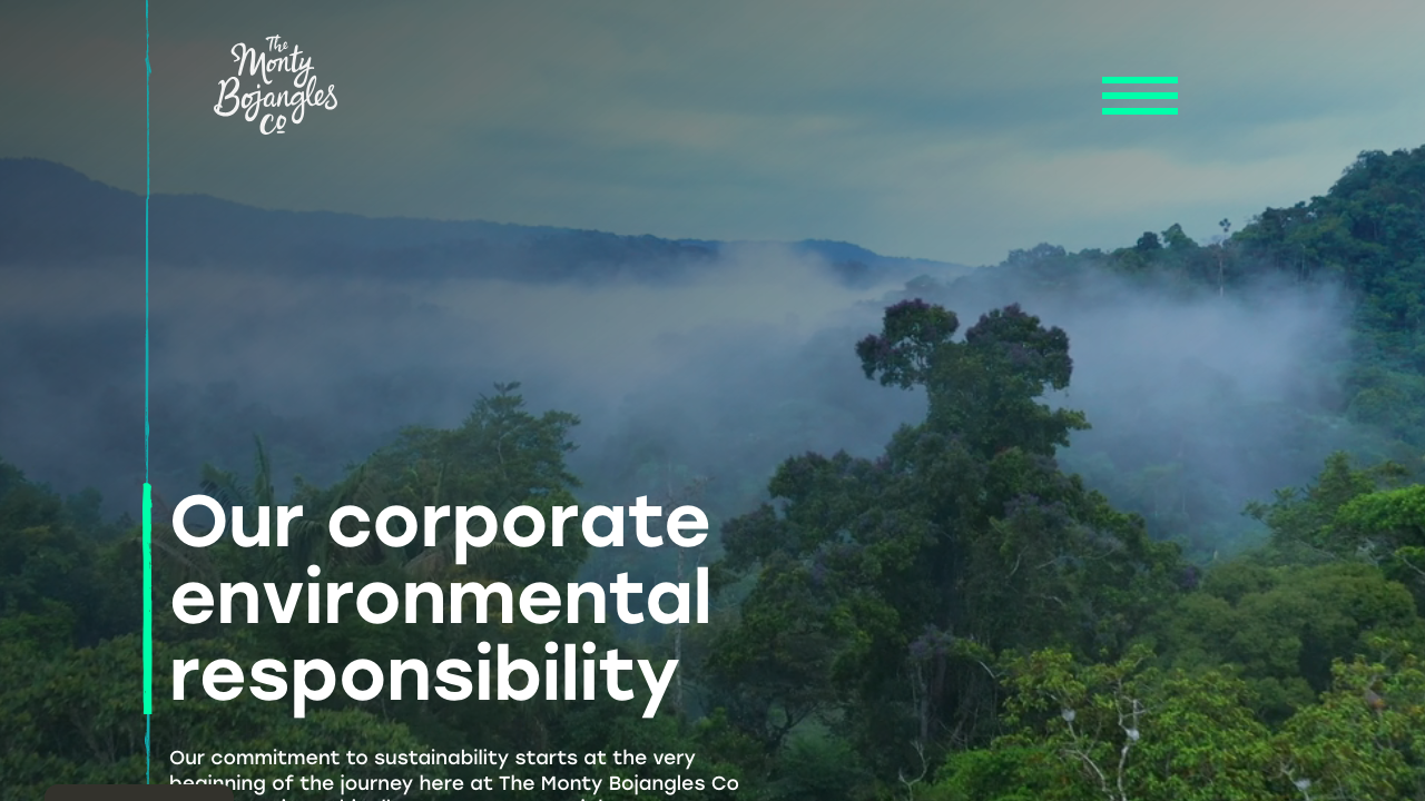 BOGANLEA RENEWABLE ENERGY LIMITED website preview