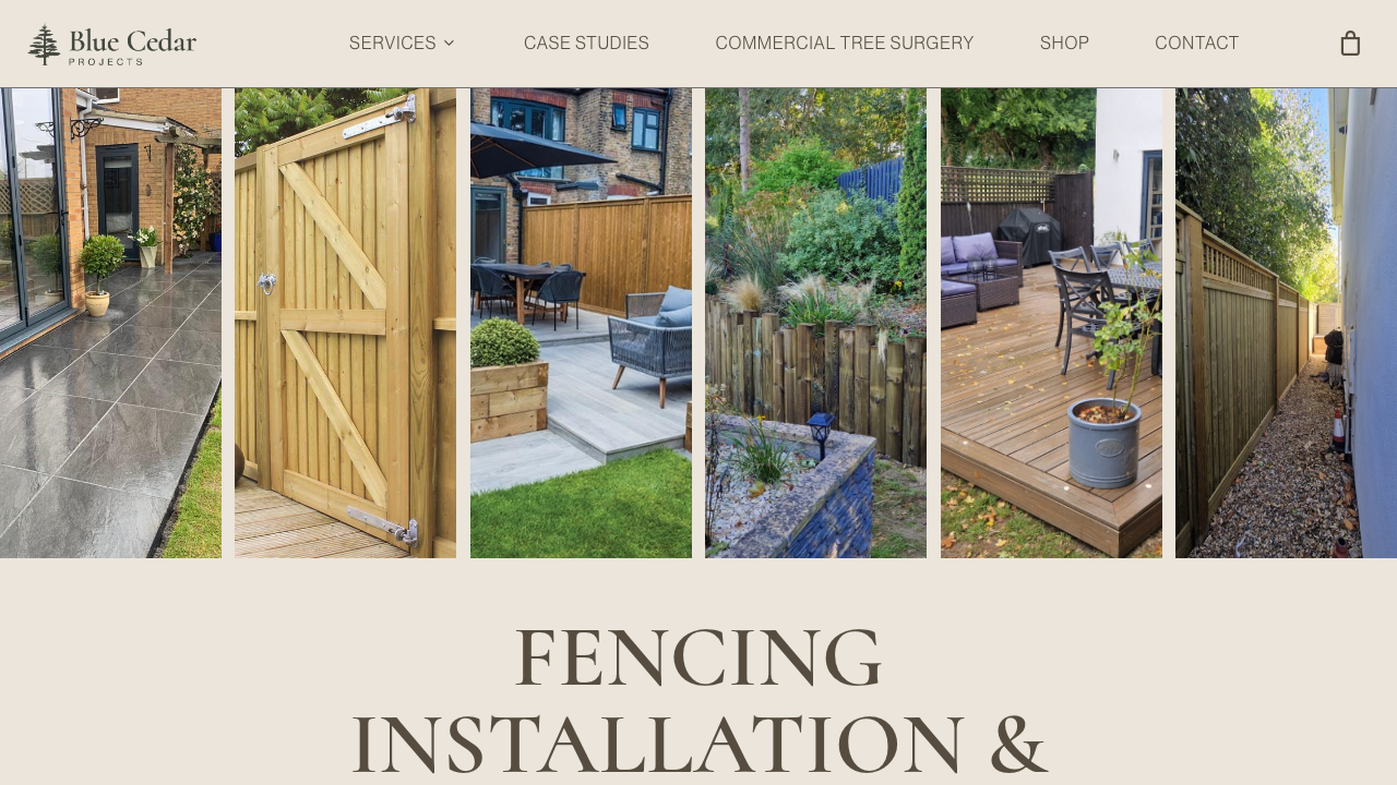 BLUE CEDAR PROJECTS LIMITED website preview