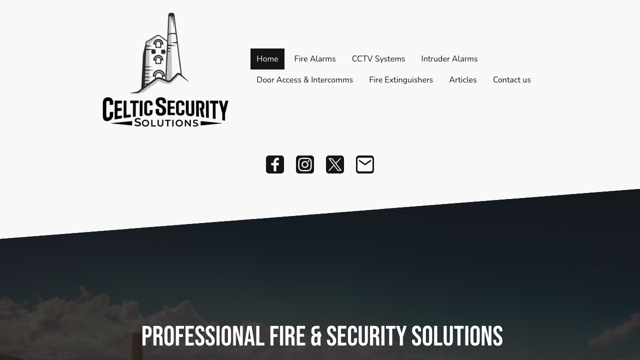 CELTIC SECURITY SOLUTIONS LTD website preview
