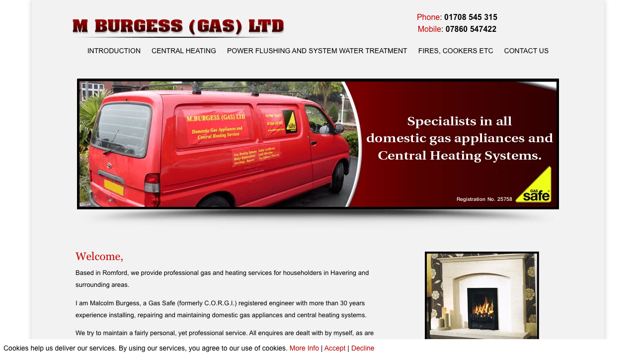 BURGESS PLUMBING LIMITED website preview