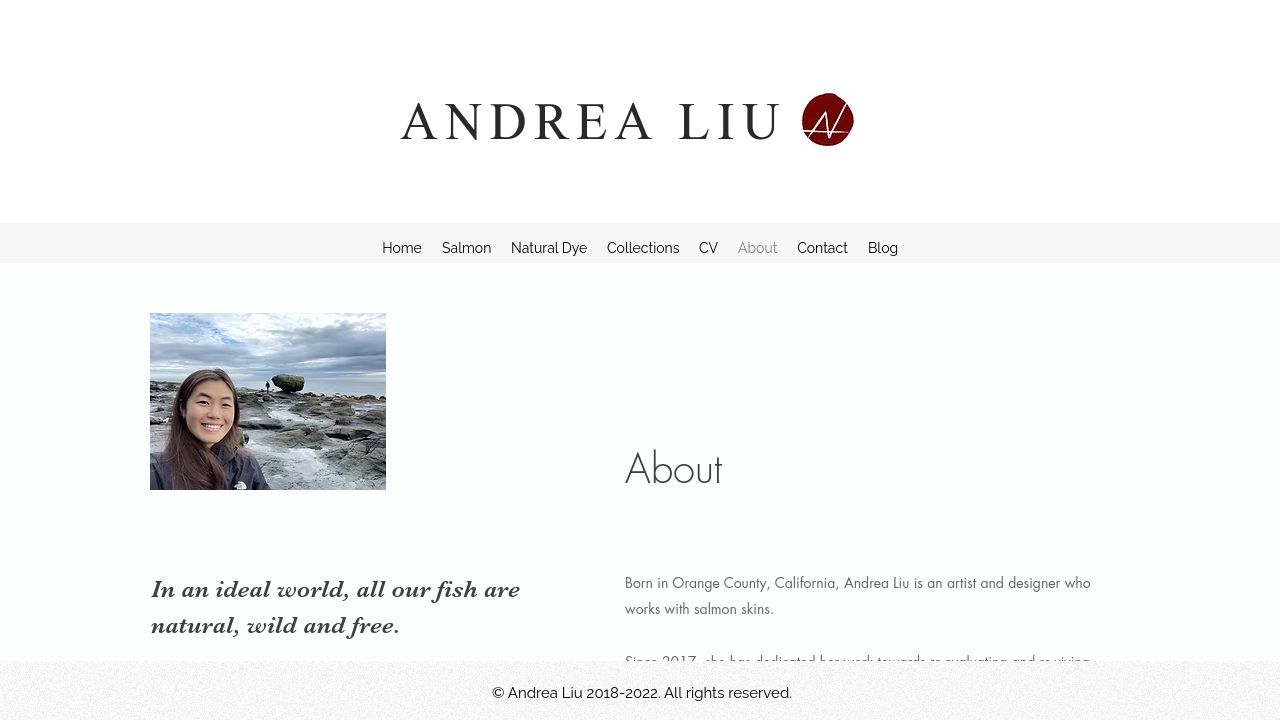 ANDREA LIU LIMITED website preview
