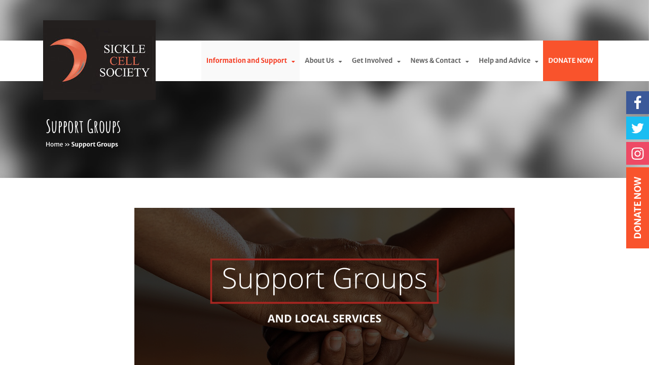 CELLSUPPORT LTD website preview