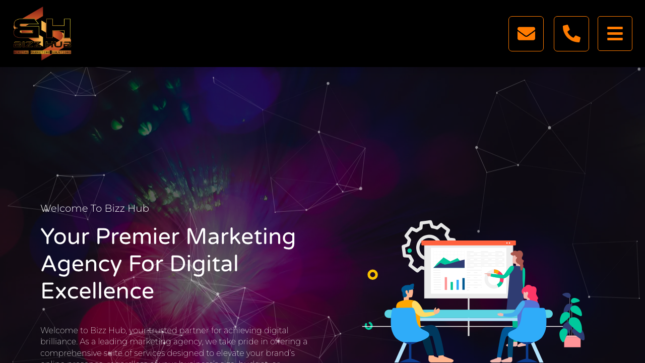 BIZZ HUB LTD website preview