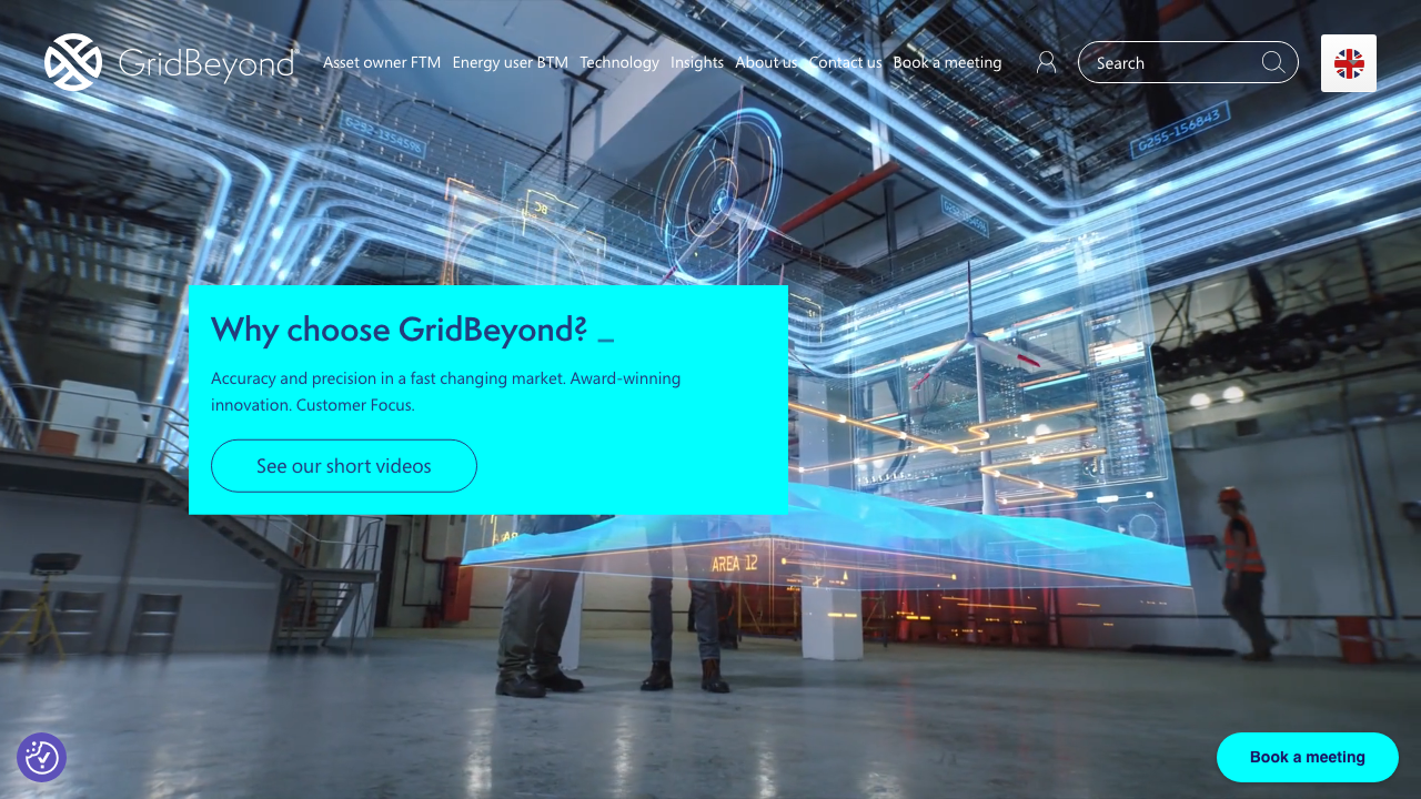 BEYOND GRID ENERGY LTD website preview