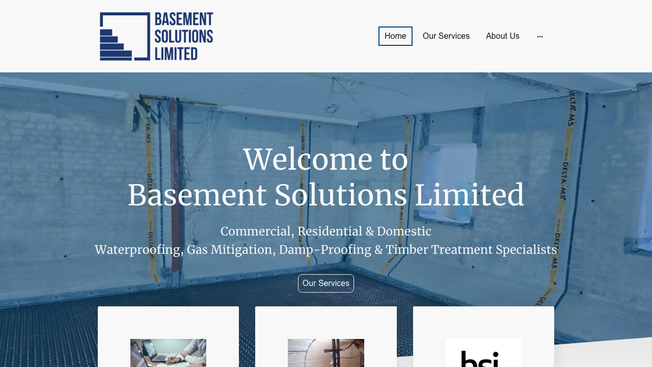 BASEMENT WATERPROOFING SOLUTIONS LTD website preview
