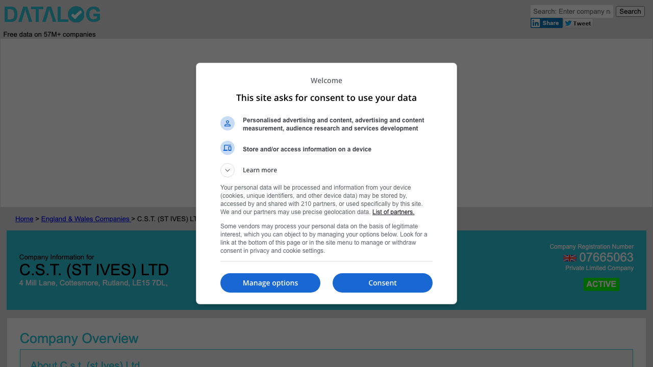 C.S.T. (ST IVES) LTD website preview