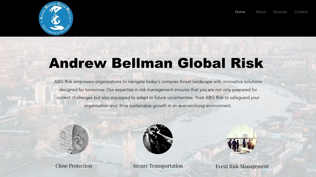 ANDREW BELLMAN GLOBAL RISK LTD website preview
