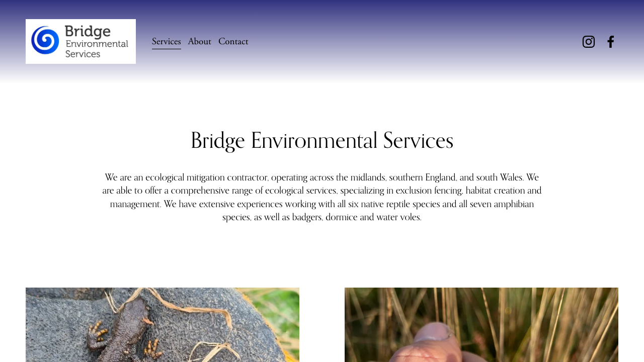 BRIDGE ENVIRONMENTAL SERVICES LTD website preview