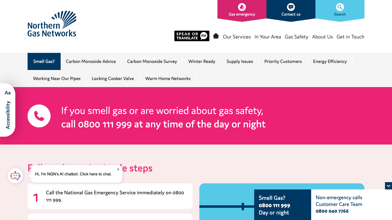 GAS EMERGENCY SERVICE LTD website preview