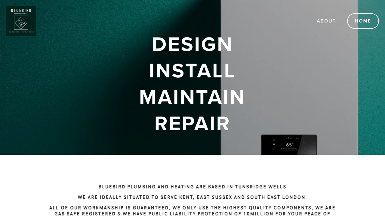 BLUE HEAT SERVICE LTD website preview