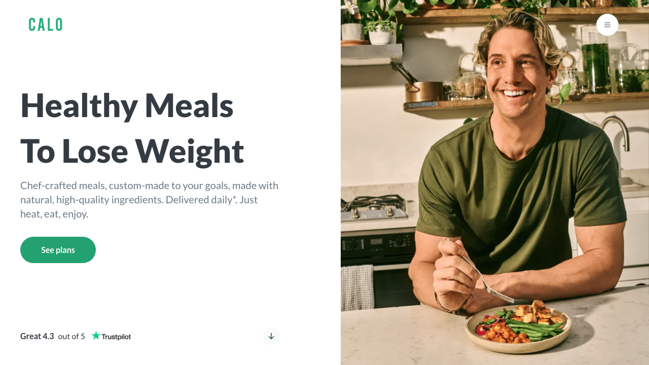 CALLO LTD website preview