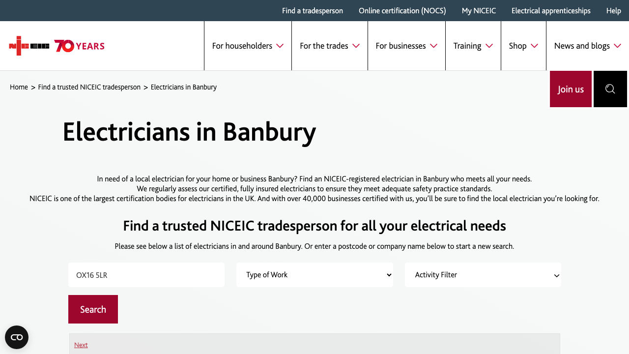 BASSI ELECTRICAL LIMITED website preview