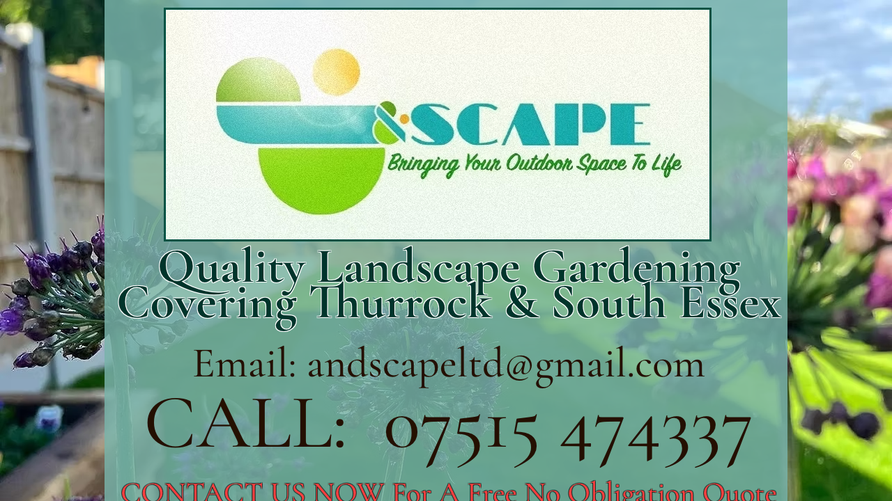 &SCAPE LTD website preview