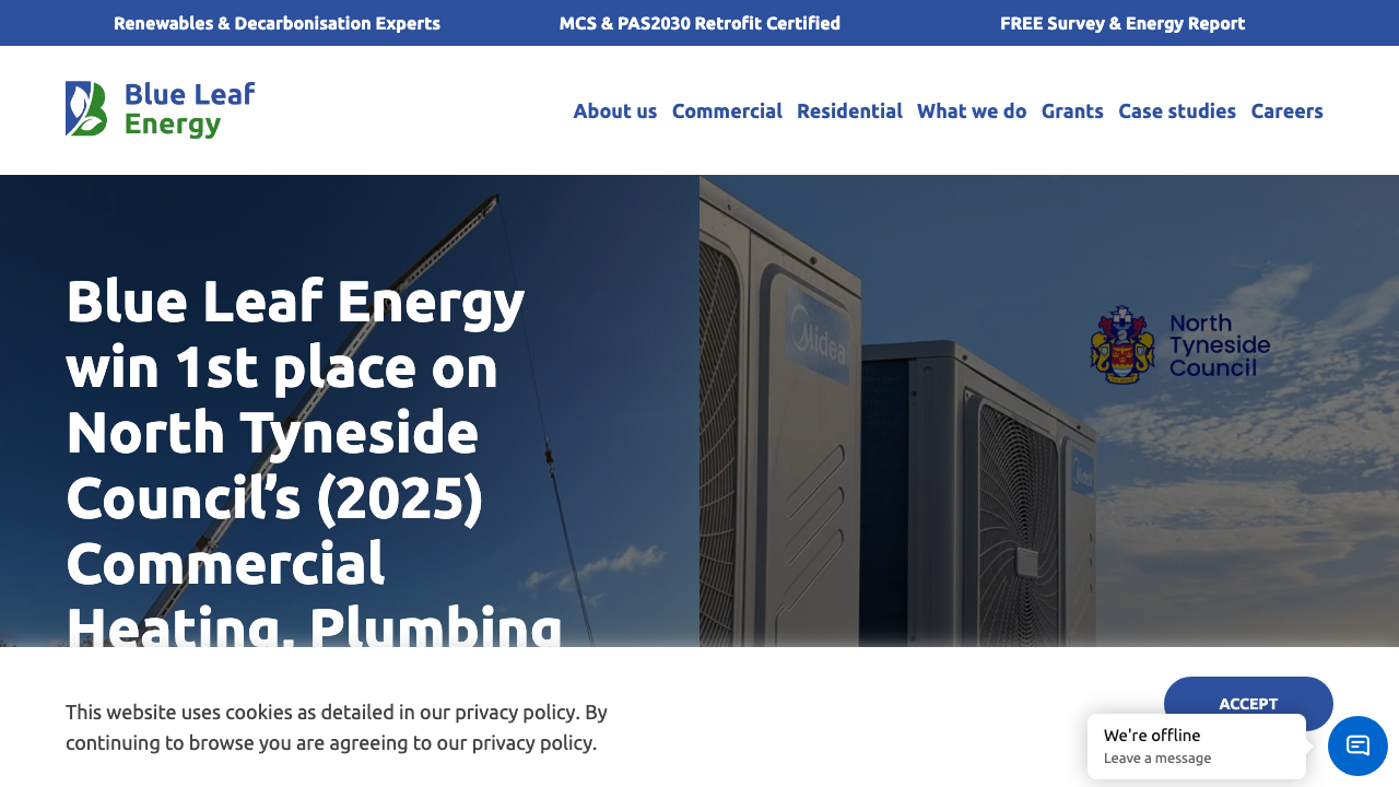 BLUE LEAF ENERGY SERVICES LTD website preview