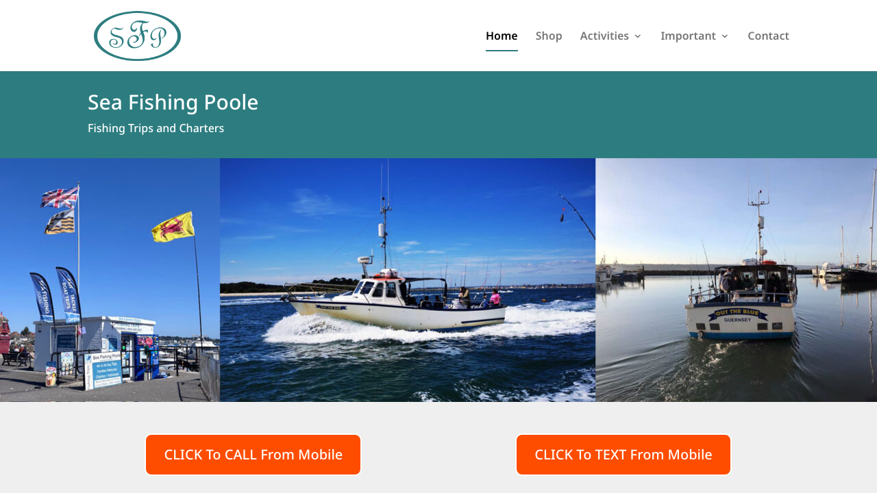 CATCHG LTD website preview