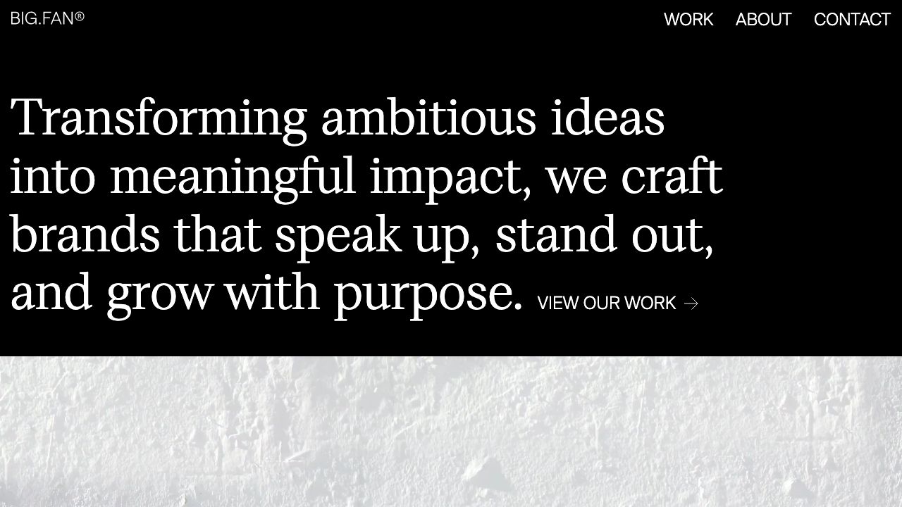 BIG FAN LTD. website preview