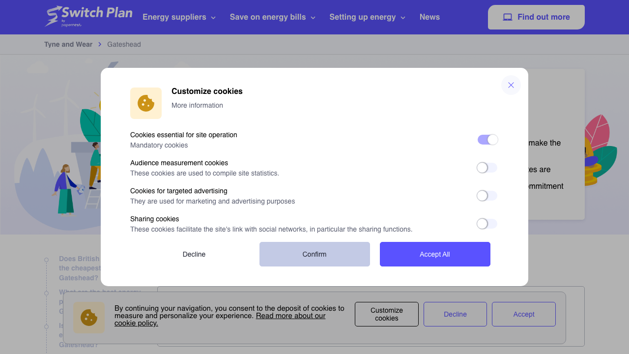 BR GAS CONTRACTS LIMITED website preview