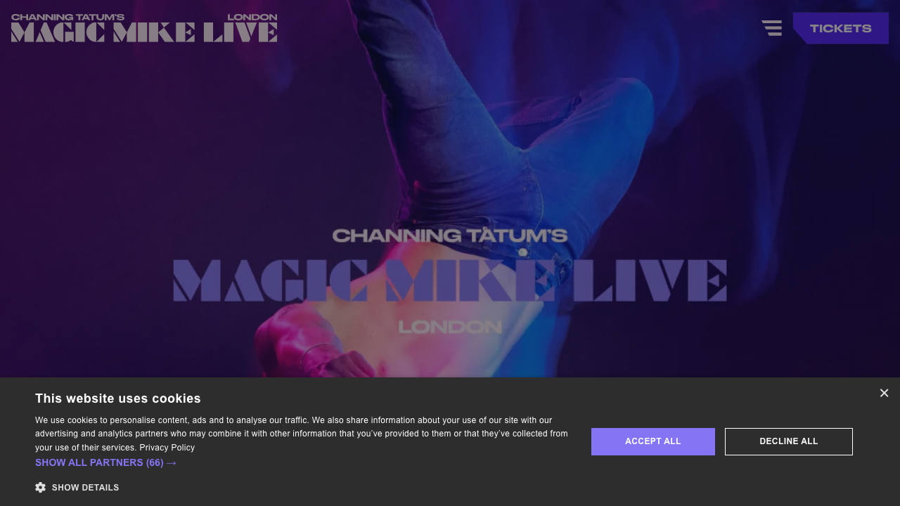 BIG MIKE LIMITED website preview