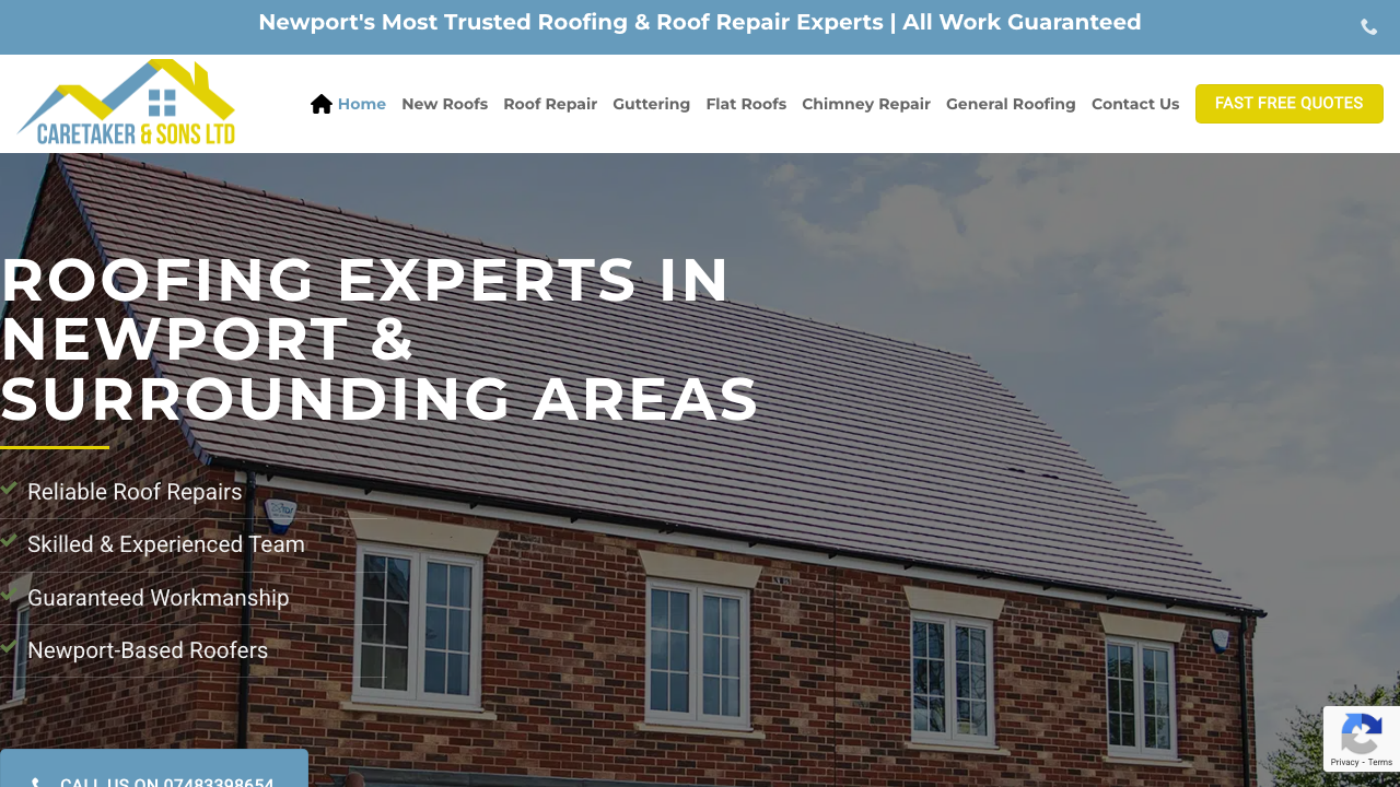 CARETAKER & SONS LTD website preview