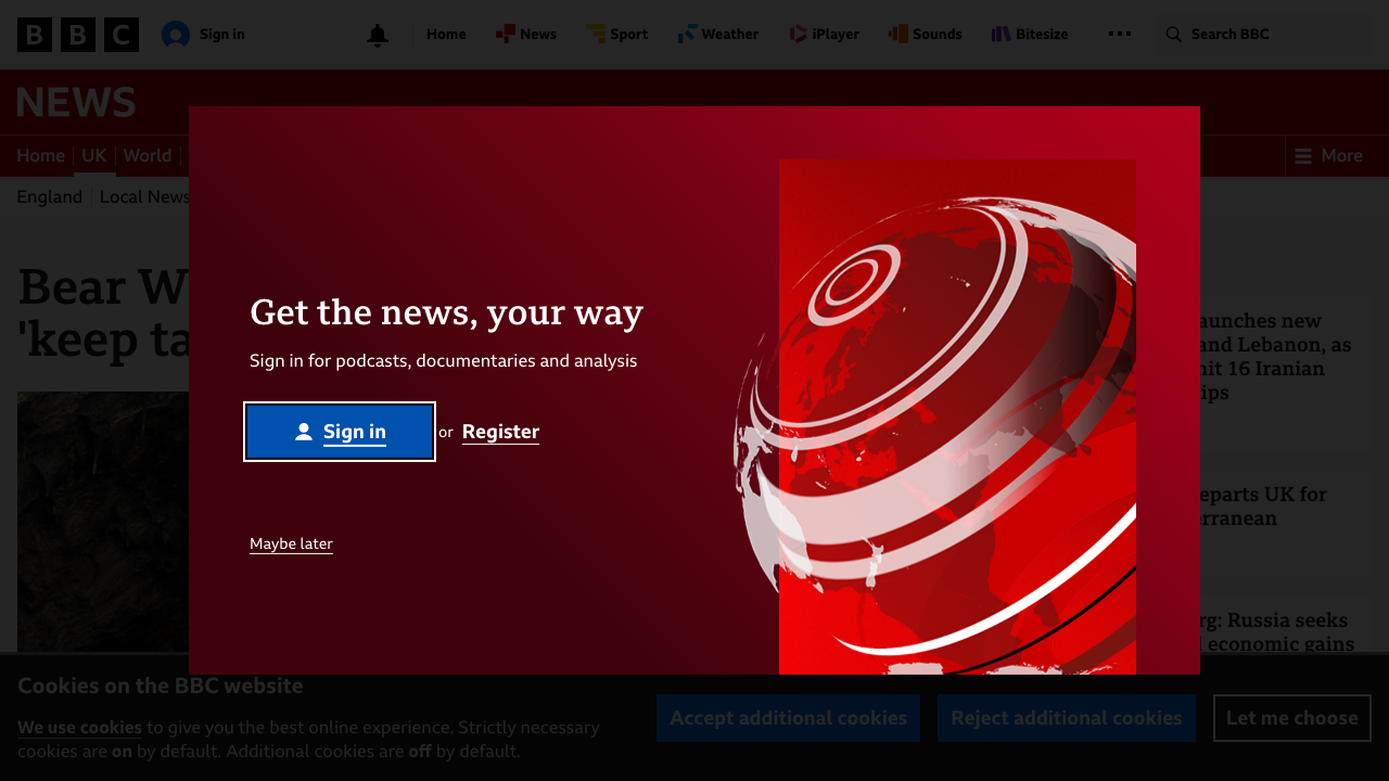 BEAR SICK LTD website preview