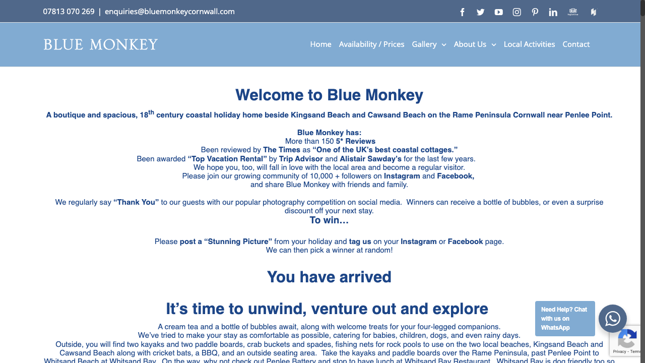 BLUE MONKEY DEVELOPMENTS LTD website preview