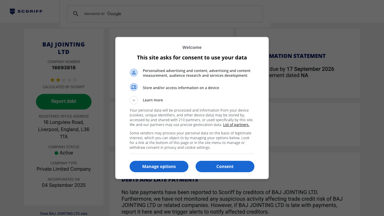 BAJ JOINTING LTD website preview
