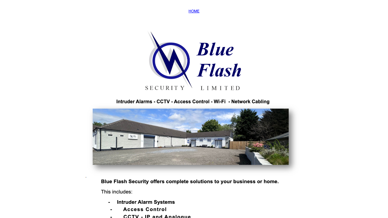 BLUE FLASH SECURITY LIMITED website preview
