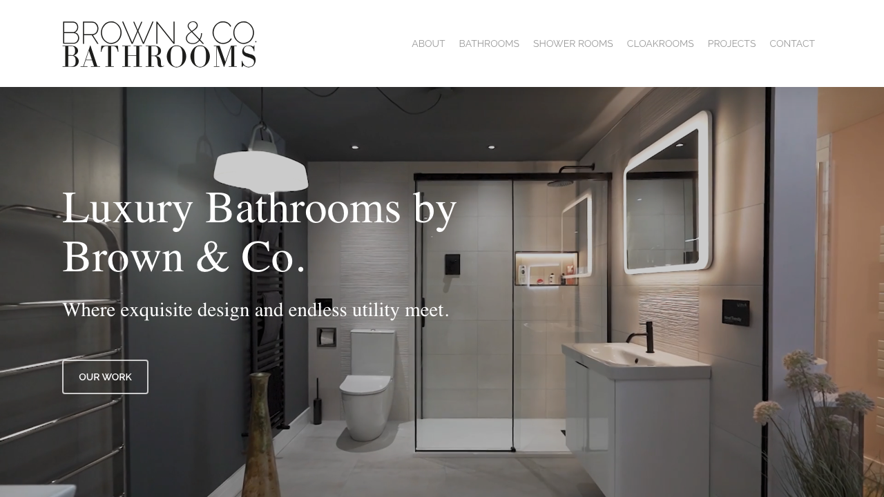 BROWN & CO PLUMBING & HEATING LTD. website preview