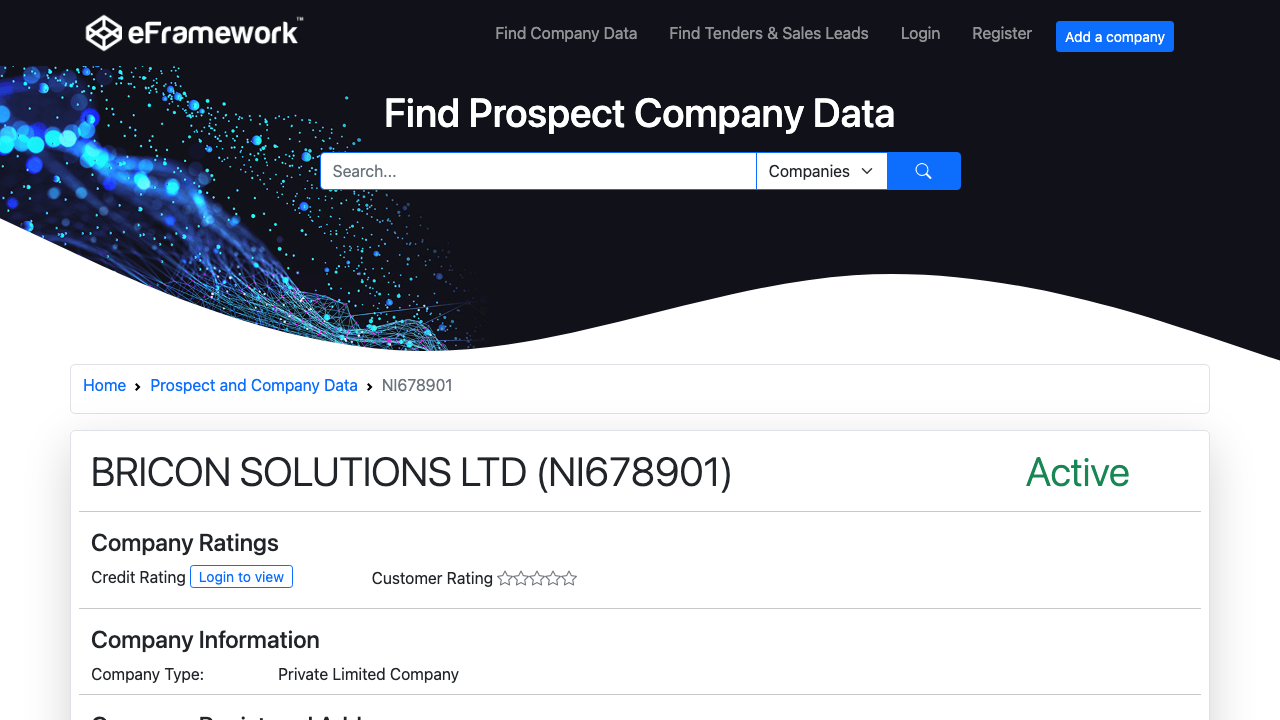 BRICON SOLUTIONS LTD website preview