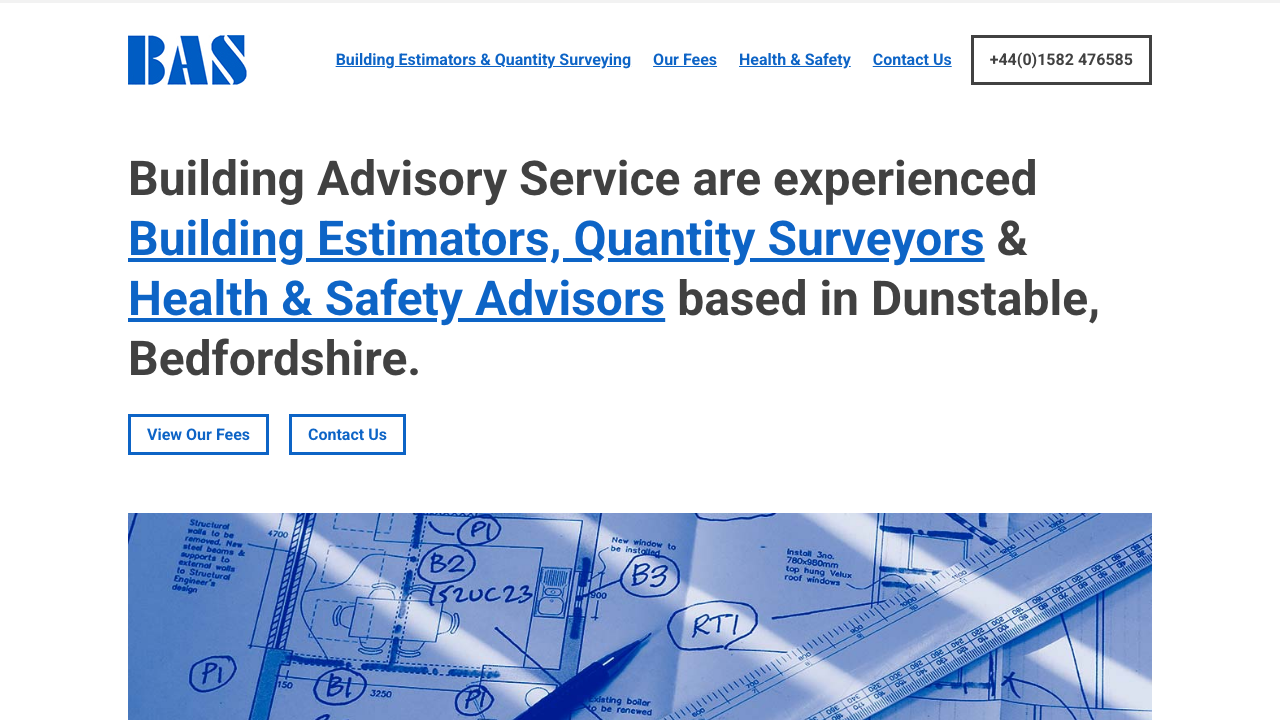 BUILDING ADVISORY SERVICE LIMITED website preview
