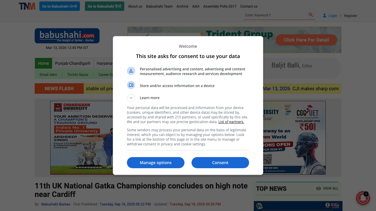 BALJIT SINGH BALLI LIMITED website preview