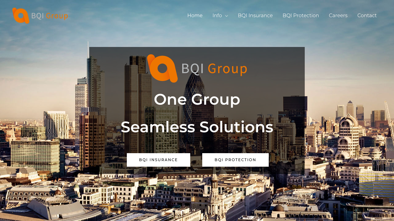 BQI SERVICES LTD website preview