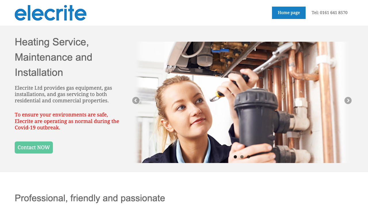 ELECRITE LIMITED website preview