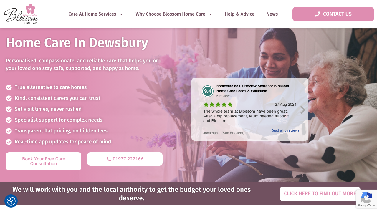 BLOSSOMANDREST LIMITED website preview