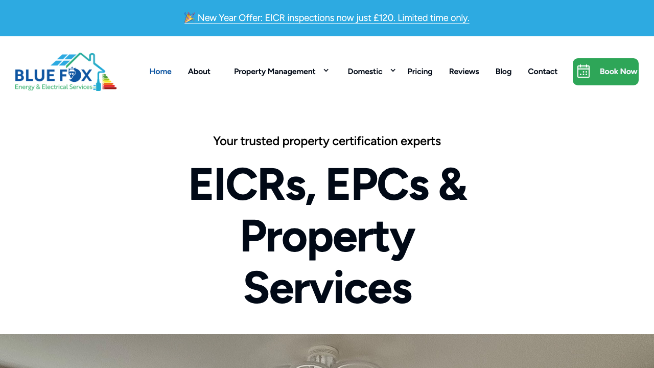 BLUE FOX ENERGY AND ELECTRICAL SERVICES LTD website preview