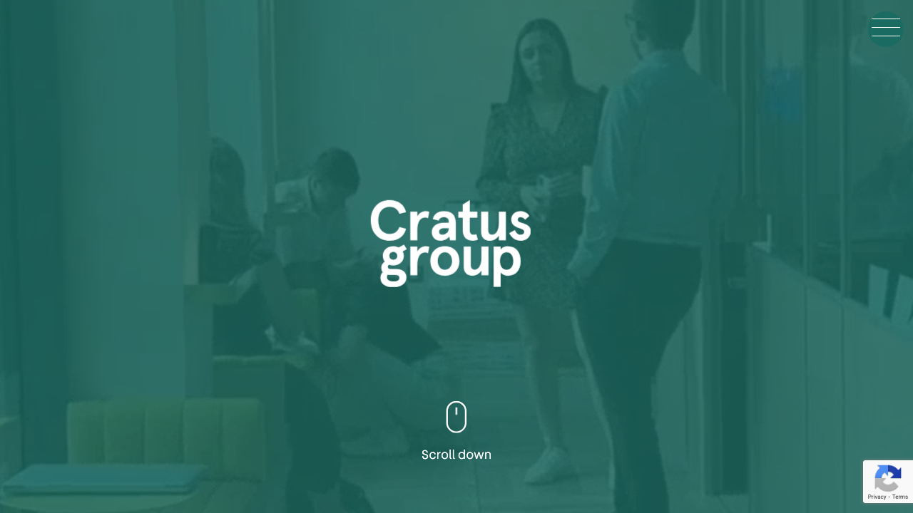 CATARUS LTD website preview