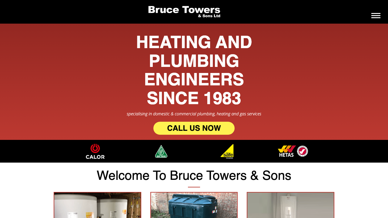 BRUCE TOWERS AND SONS LIMITED website preview