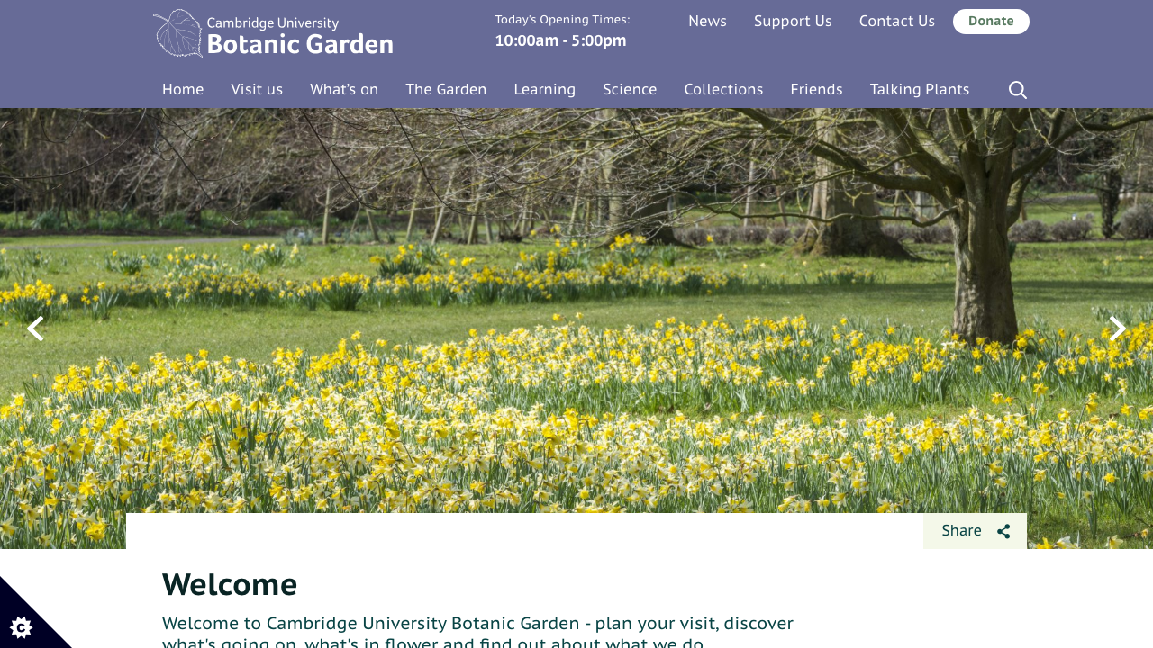 BROOMS GARDENS LIMITED website preview