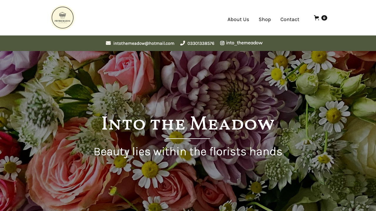 BY THE MEADOW LTD website preview