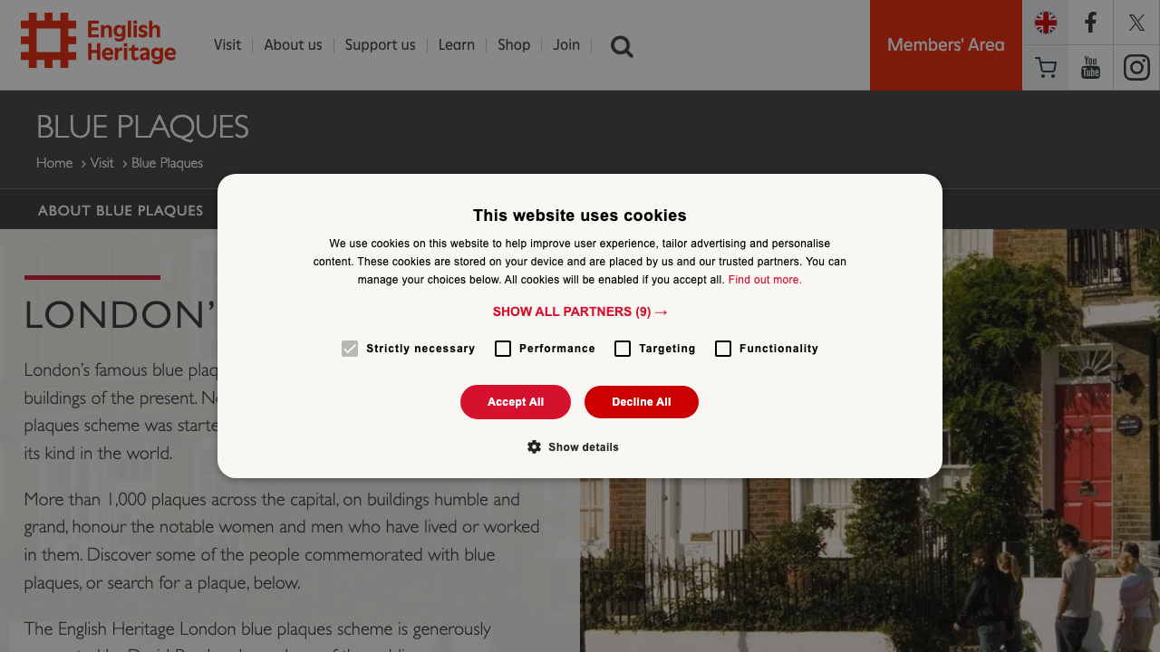 BLUE ARCHES LIMITED website preview