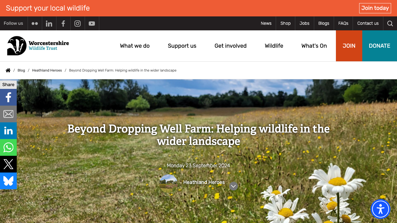 BENN WALTERS PROJECT MANAGEMENT LIMITED website preview