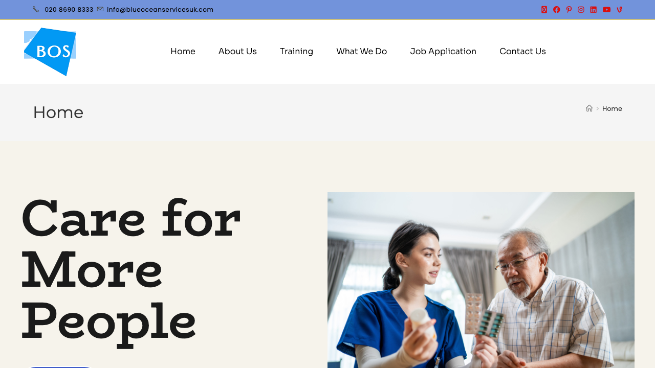 BLU OCEAN LIVING LIMITED website preview