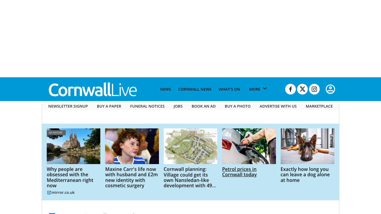 BORN IN IDEA LTD website preview