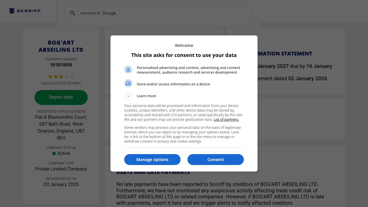 BOG'ART ABSEILING LTD website preview