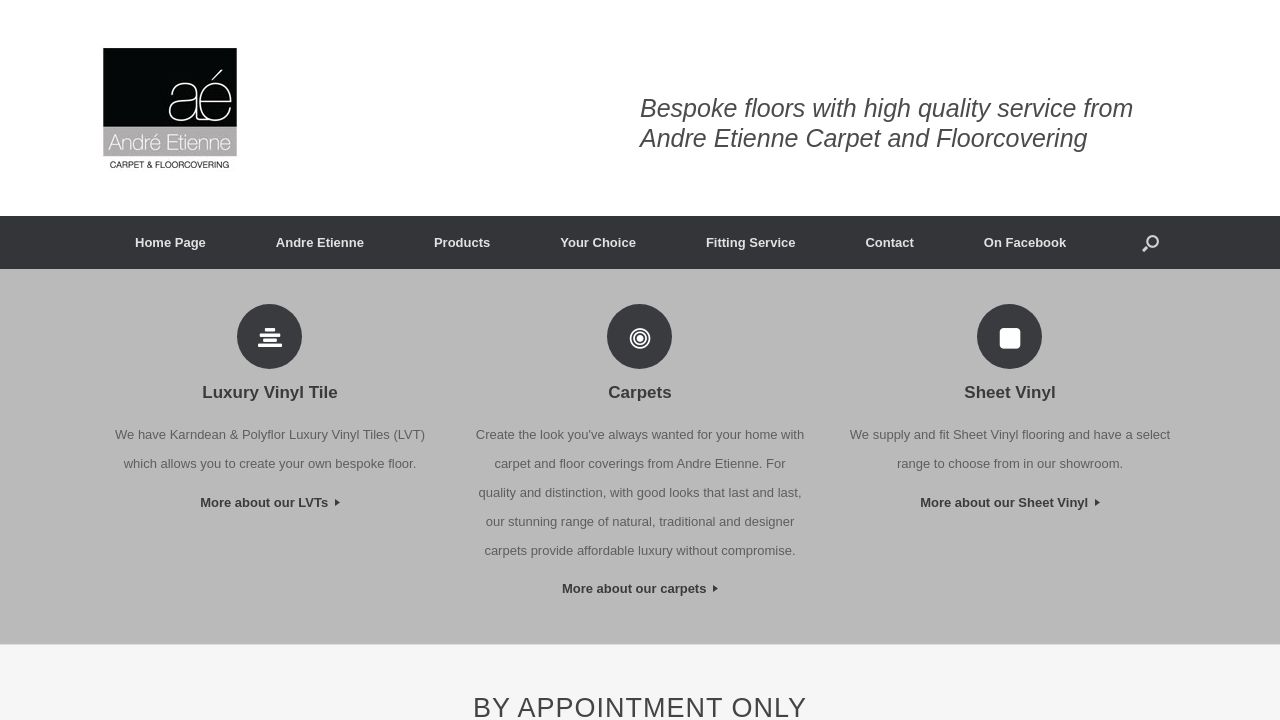 ANDRE ETIENNE CARPET & FLOORCOVERING LIMITED website preview