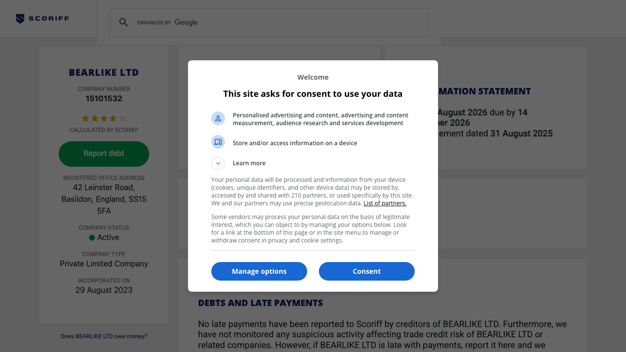 BEARLIKE LTD website preview