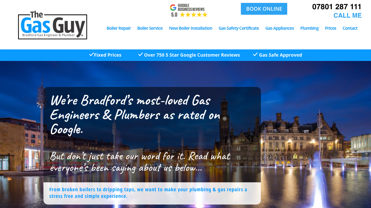 BOILER GUYZ LTD website preview